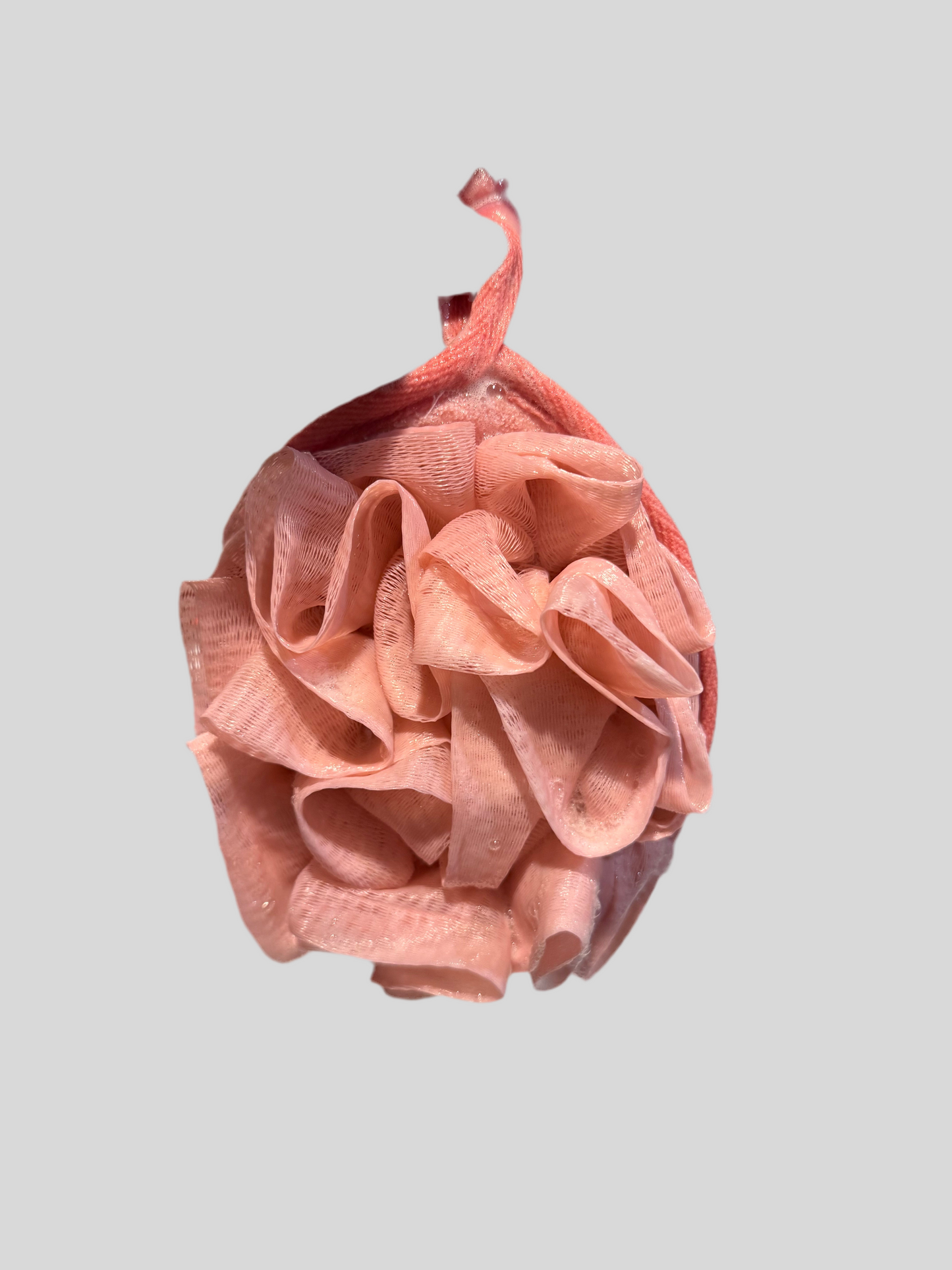 Soul & Sage Soap Loofah