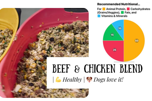 Beef & Chicken Healthy Homemade Dog Food Recipe + Grocery List (Digital Download)