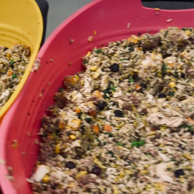 Beef & Chicken Healthy Homemade Dog Food Recipe + Grocery List (Digital Download)