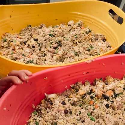 Beef & Chicken Healthy Homemade Dog Food Recipe + Grocery List (Digital Download)