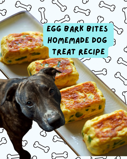 Egg Bark Bites – Homemade Dog Treat Recipe